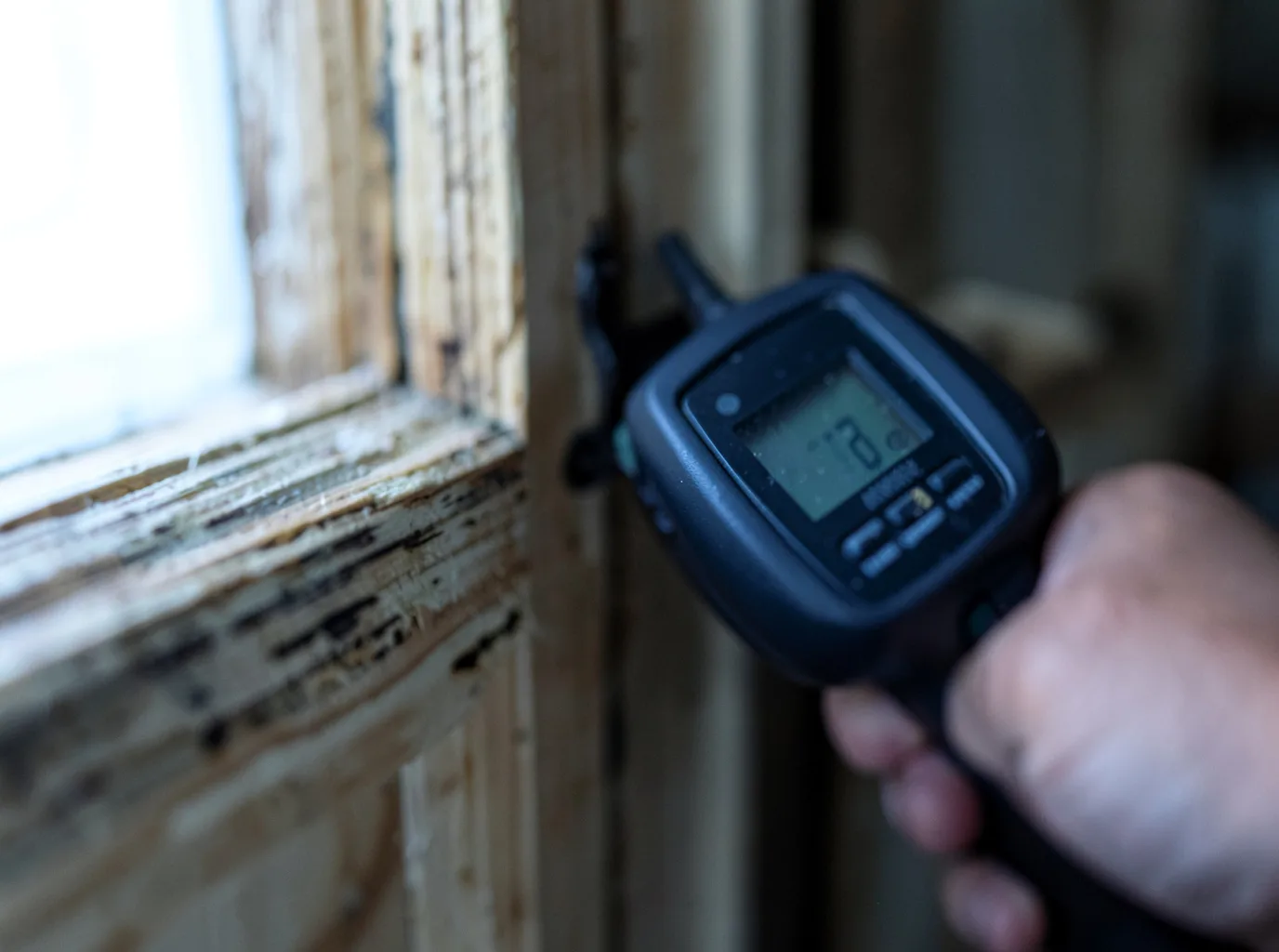 Moisture Inspection And Documentation in Keezletown, VA